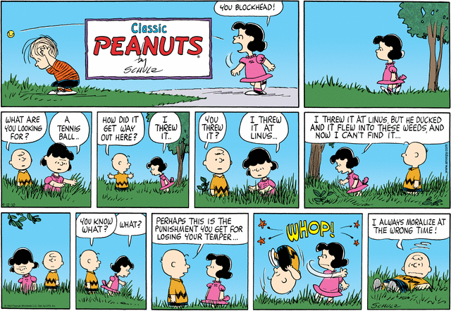 Les Peanuts Plumetis Magazine